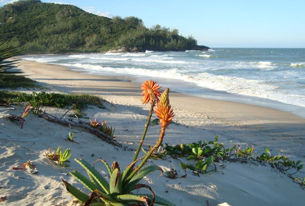 GAROPABA: Paraíso Eco- Consciente