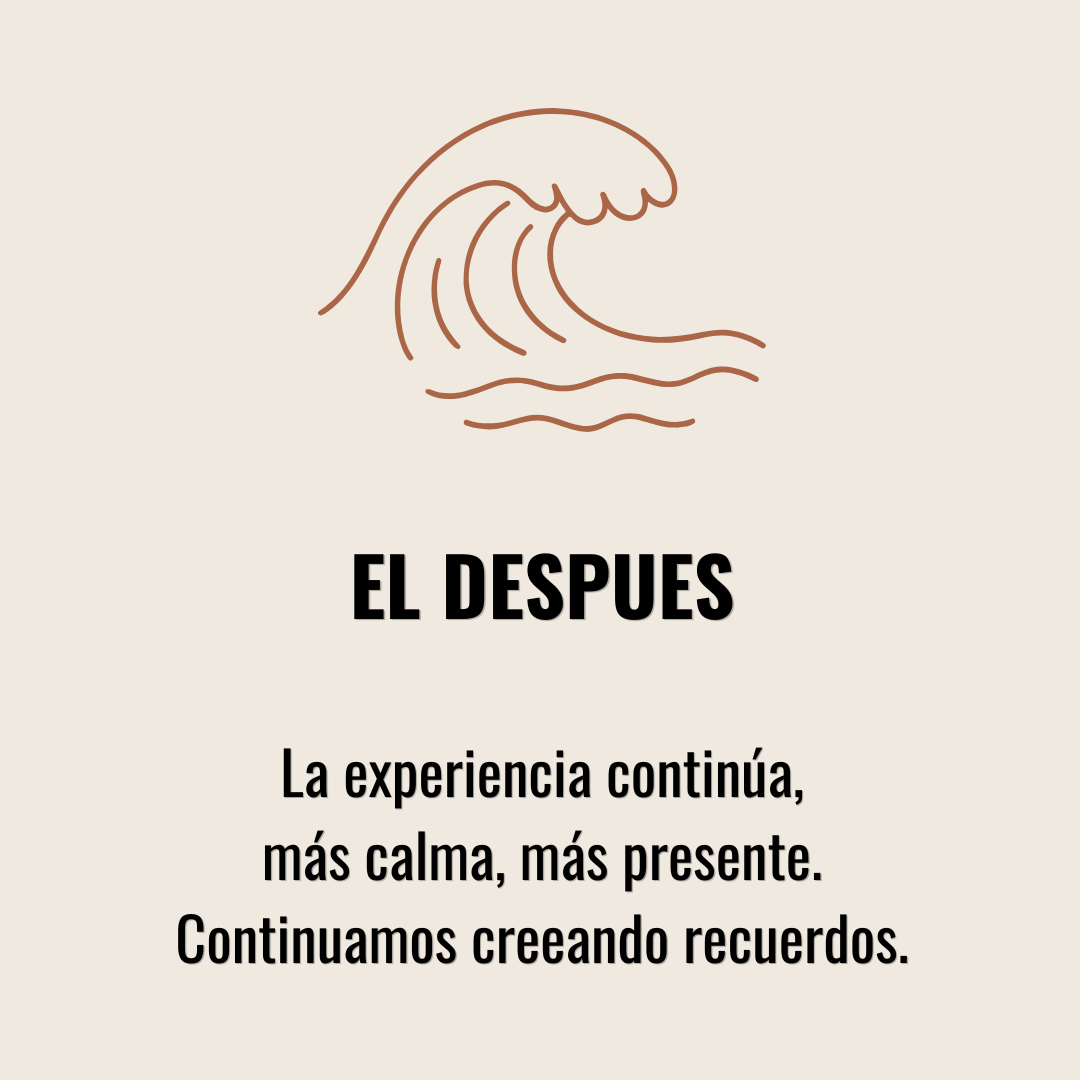 RECEPTIVO (20)